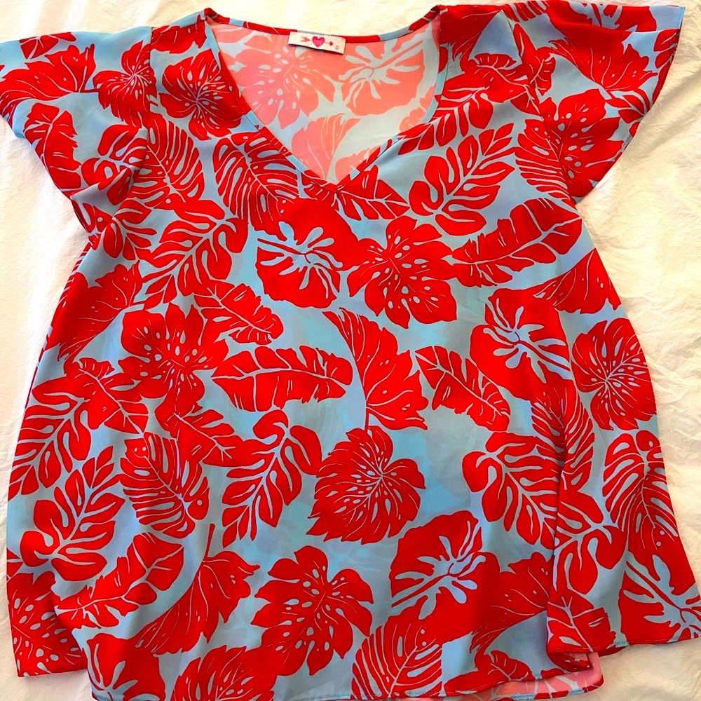 Red and turquoise blouse